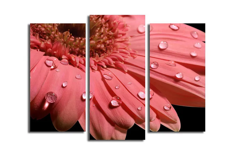 Dekorativ Canvasbilde 3-Deler 45x20 cm, Flerfarget