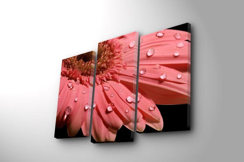 Dekorativ Canvasbilde 3-Deler 45x20 cm - Flerfarget - Innredning - Bilder & kunst - Lerretsbilder