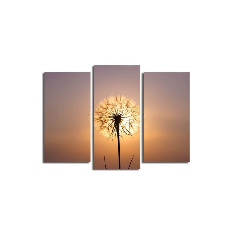 Dekorativ Canvasbilde 3-Deler 45x20 cm - Flerfarget - Innredning - Bilder & kunst - Lerretsbilder