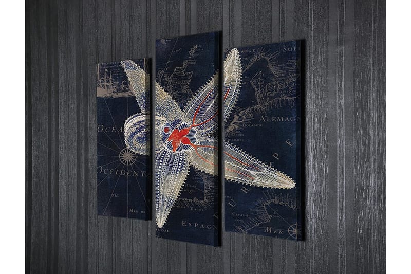 Dekorativ Canvasbilde 3-Deler 45x20 cm - Flerfarget - Innredning - Bilder & kunst - Lerretsbilder