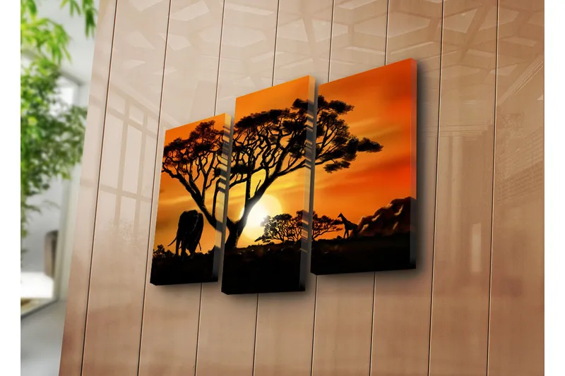 Dekorativ Canvasbilde 3 Deler - Flerfarget - Innredning - Bilder & kunst - Lerretsbilder