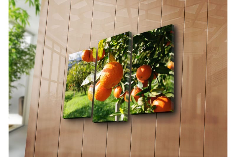 Dekorativ Canvasbilde 3 Deler - Flerfarget - Innredning - Bilder & kunst - Lerretsbilder