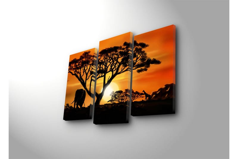 Dekorativ Canvasbilde 3 Deler - Flerfarget - Innredning - Bilder & kunst - Lerretsbilder