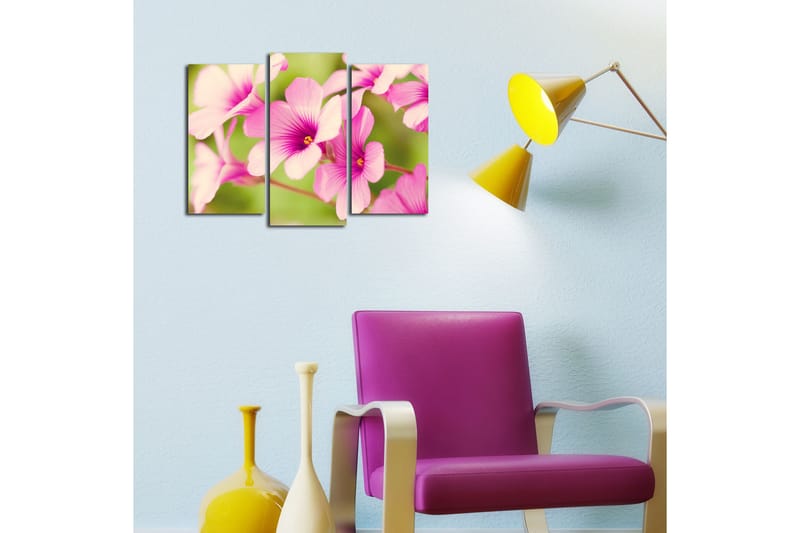 Dekorativ Canvasbilde 3 Deler - Flerfarget - Innredning - Bilder & kunst - Lerretsbilder