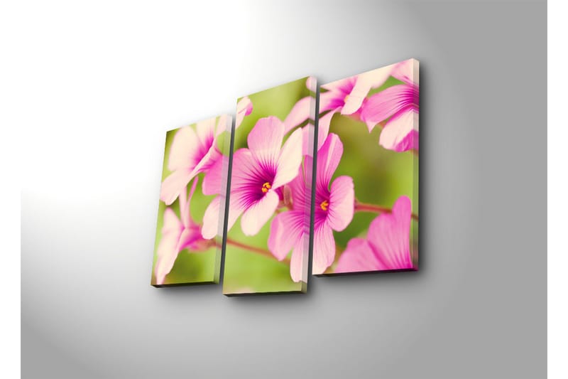 Dekorativ Canvasbilde 3 Deler - Flerfarget - Innredning - Bilder & kunst - Lerretsbilder