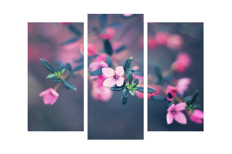 Dekorativ Canvasbilde 3 Deler - Flerfarget - Innredning - Bilder & kunst - Lerretsbilder