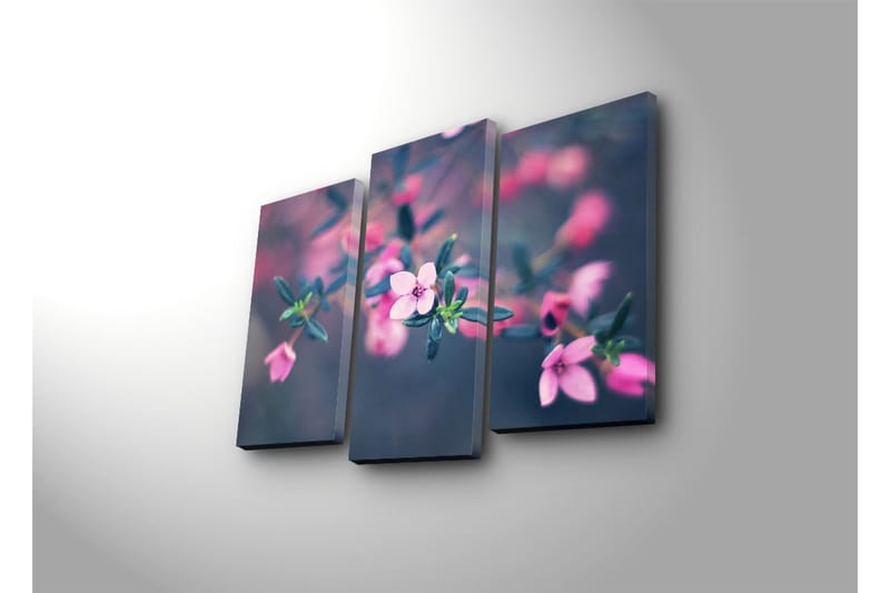 Dekorativ Canvasbilde 3 Deler - Flerfarget - Innredning - Bilder & kunst - Lerretsbilder
