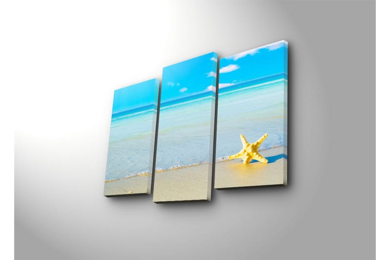 Dekorativ Canvasbilde 3 Deler - Flerfarget - Innredning - Bilder & kunst - Lerretsbilder