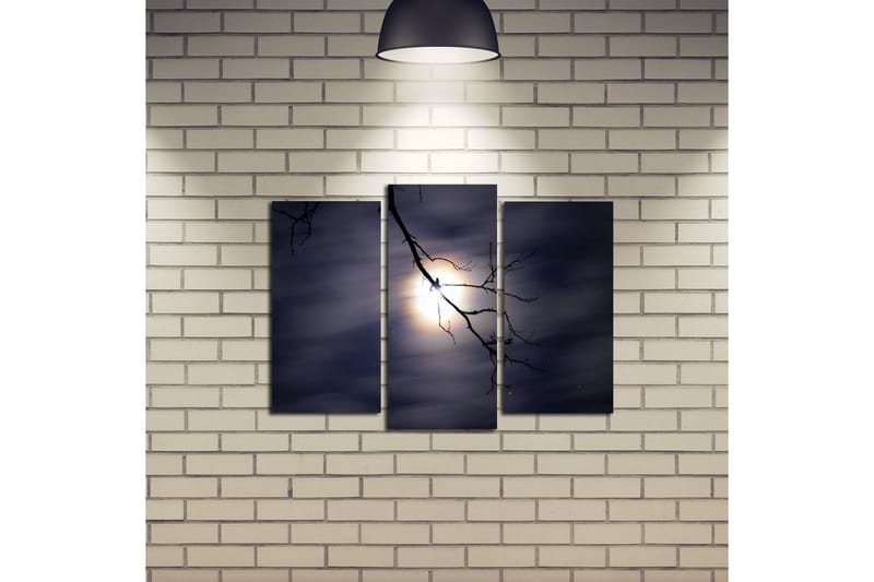 Dekorativ Canvasbilde 3 Deler - Flerfarget - Innredning - Bilder & kunst - Lerretsbilder