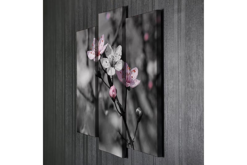 Dekorativ Canvasbilde 3 Deler - Flerfarget - Innredning - Bilder & kunst - Lerretsbilder