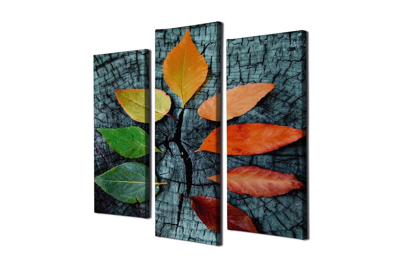 Dekorativ Canvasbilde 3 Deler - Flerfarget - Innredning - Bilder & kunst - Lerretsbilder