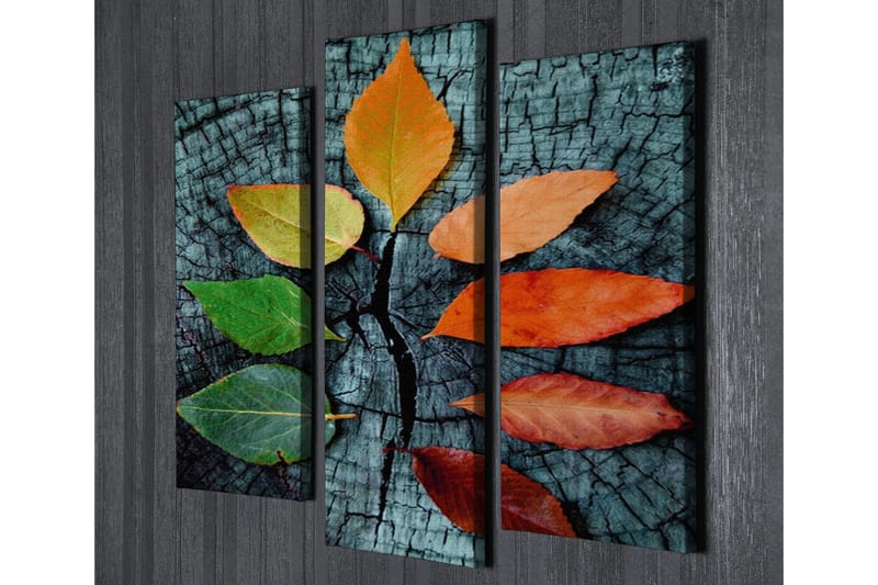 Dekorativ Canvasbilde 3 Deler - Flerfarget - Innredning - Bilder & kunst - Lerretsbilder