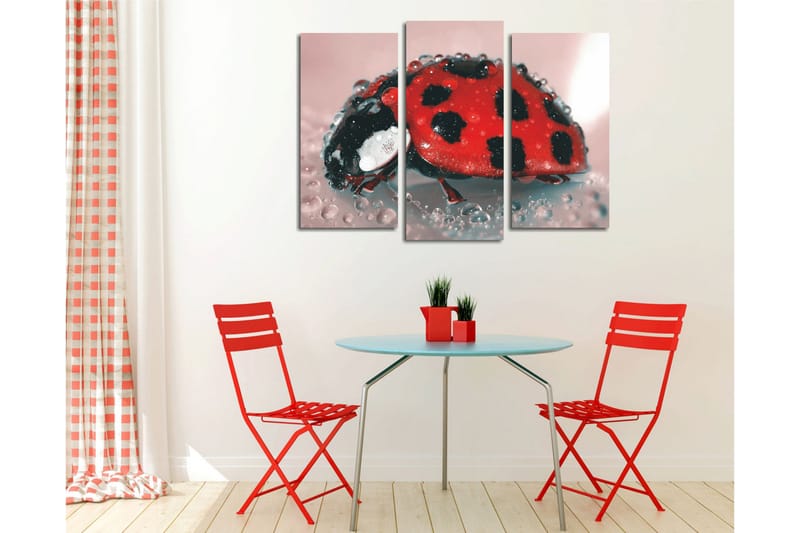 Dekorativ Canvasbilde 3 Deler - Flerfarget - Innredning - Bilder & kunst - Lerretsbilder