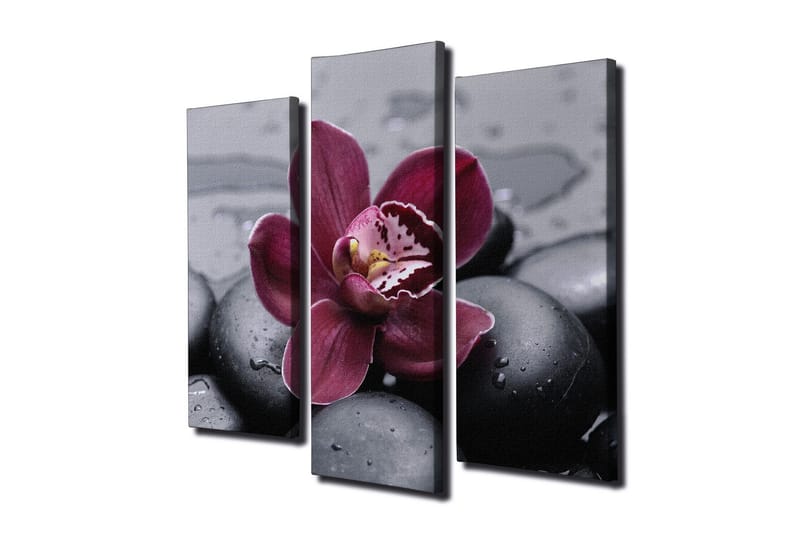 Dekorativ Canvasbilde 3 Deler - Flerfarget - Innredning - Bilder & kunst - Lerretsbilder
