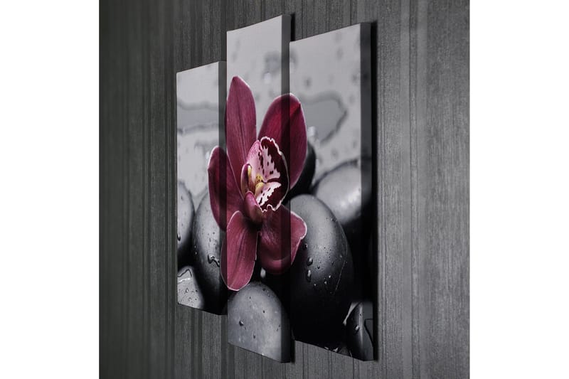 Dekorativ Canvasbilde 3 Deler - Flerfarget - Innredning - Bilder & kunst - Lerretsbilder