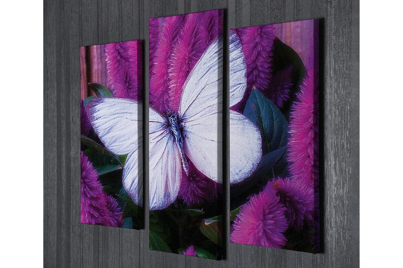 Dekorativ Canvasbilde 3 Deler - Flerfarget - Innredning - Bilder & kunst - Lerretsbilder