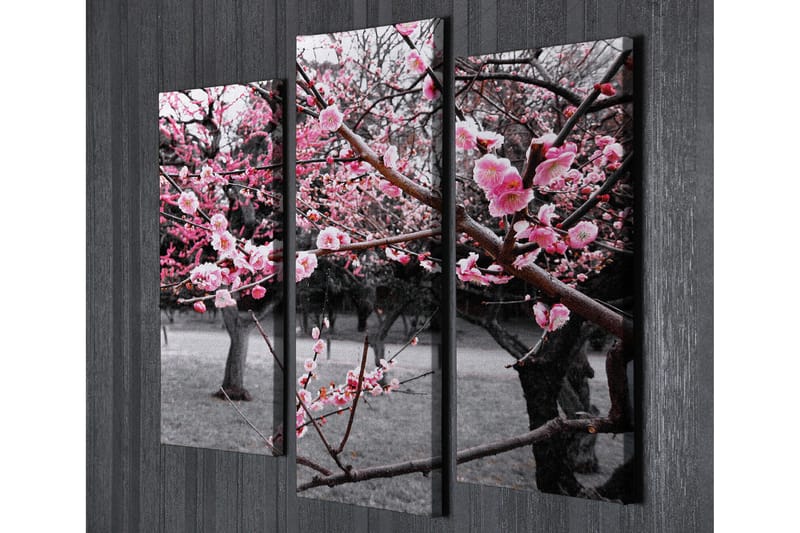 Dekorativ Canvasbilde 3 Deler - Flerfarget - Innredning - Bilder & kunst - Lerretsbilder