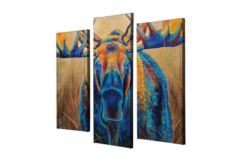 Dekorativ Canvasbilde 3 Deler - Flerfarget - Innredning - Bilder & kunst - Lerretsbilder