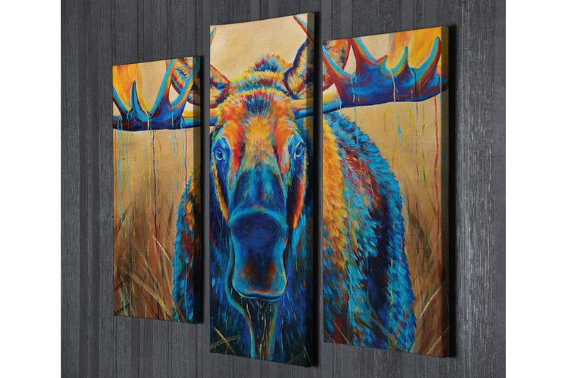 Dekorativ Canvasbilde 3 Deler - Flerfarget - Innredning - Bilder & kunst - Lerretsbilder