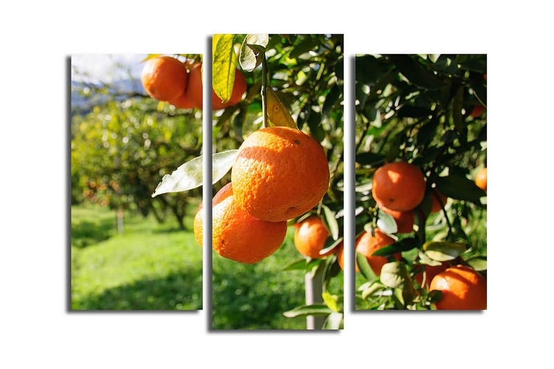 Dekorativ Canvasbilde 3 Deler - Flerfarget - Innredning - Bilder & kunst - Lerretsbilder