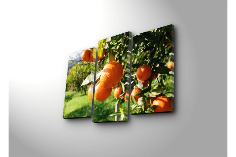 Dekorativ Canvasbilde 3 Deler - Flerfarget - Innredning - Bilder & kunst - Lerretsbilder