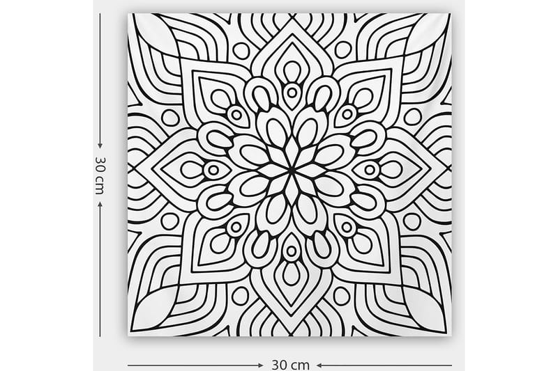 Dekorativ Canvasbilde 30x30 cm - Hvit|Svart - Innredning - Bilder & kunst - Lerretsbilder