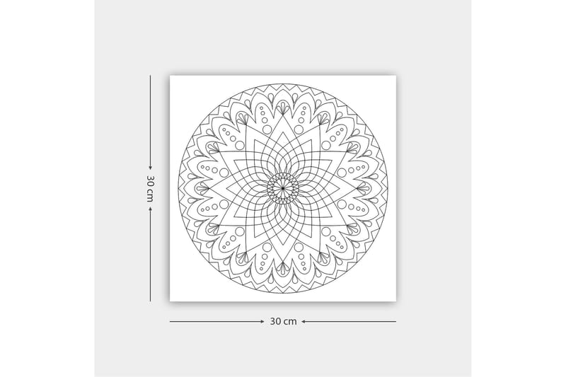 Dekorativ Canvasbilde 30x30 cm - Hvit|Svart - Innredning - Bilder & kunst - Lerretsbilder