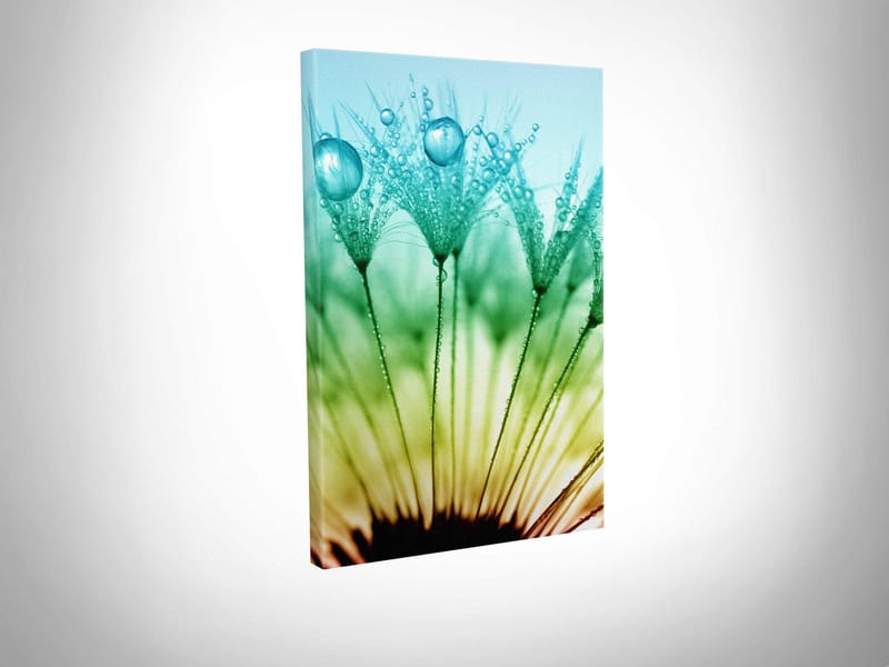 Dekorativ Canvasbilde 30x40 cm - Flerfarget - Innredning - Bilder & kunst - Lerretsbilder