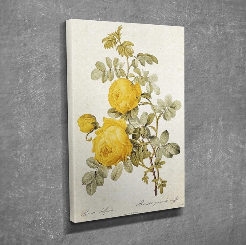 Dekorativ Canvasbilde 30x40 cm - Flerfarget - Innredning - Bilder & kunst - Lerretsbilder