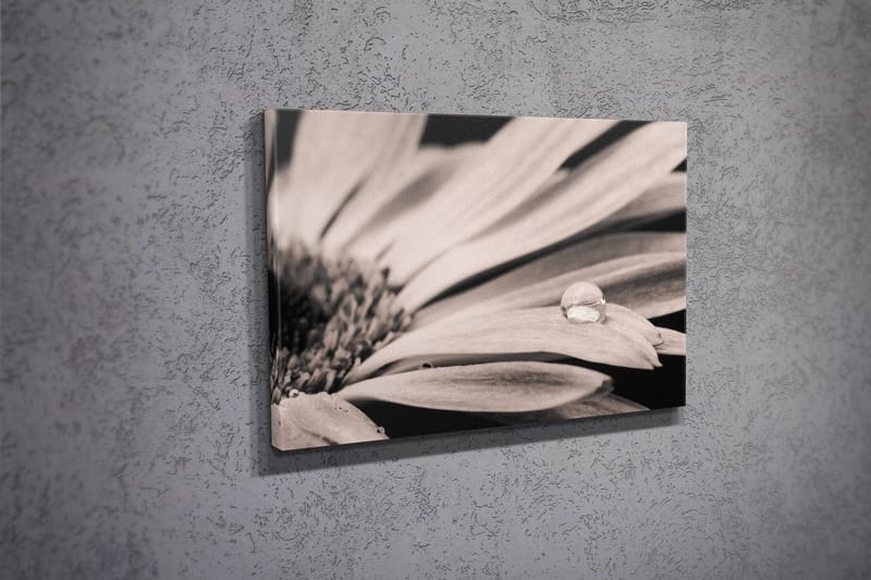 Dekorativ Canvasbilde 30x40 cm - Flerfarget - Innredning - Bilder & kunst - Lerretsbilder