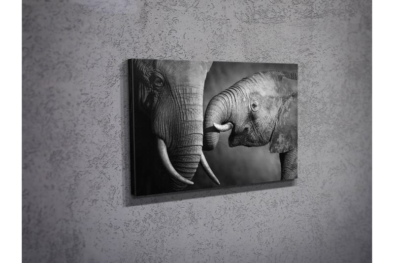 Dekorativ Canvasbilde 30x40 cm - Flerfarget - Innredning - Bilder & kunst - Lerretsbilder