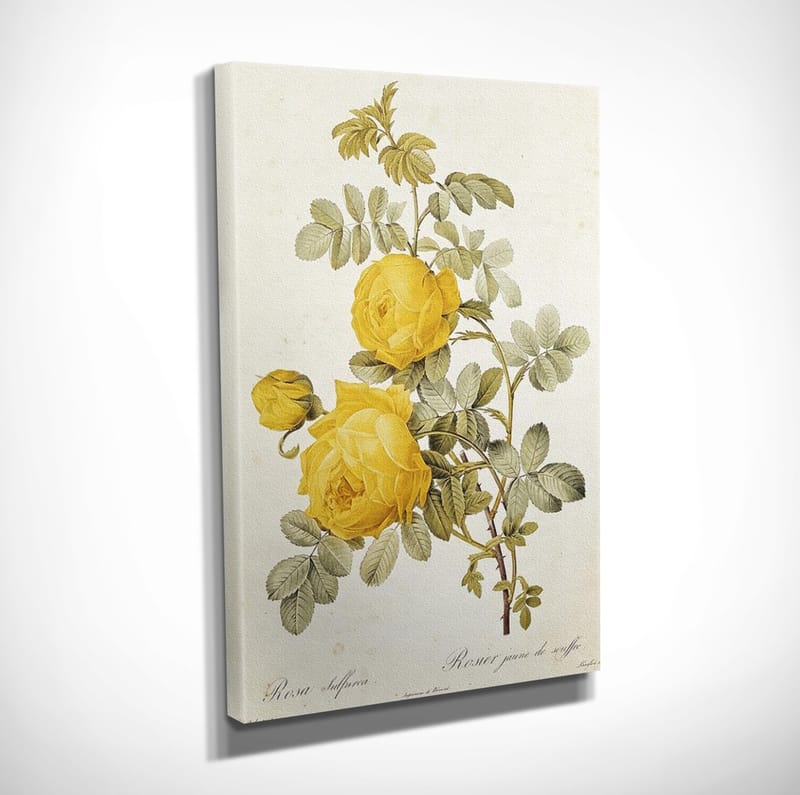 Dekorativ Canvasbilde 30x40 cm - Flerfarget - Innredning - Bilder & kunst - Lerretsbilder