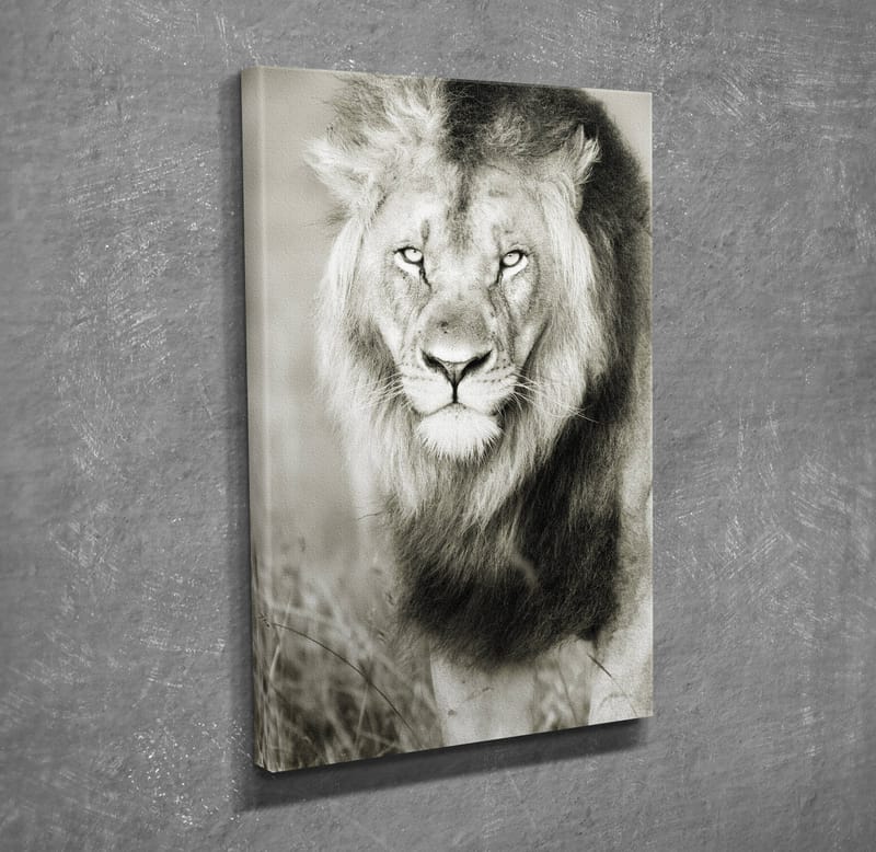 Dekorativ Canvasbilde 30x40 cm - Flerfarget - Innredning - Bilder & kunst - Lerretsbilder