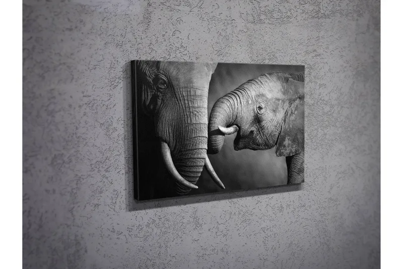 Dekorativ Canvasbilde 30x40 cm - Flerfarget - Innredning - Bilder & kunst - Lerretsbilder