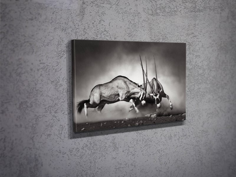 Dekorativ Canvasbilde 30x40 cm - Flerfarget - Innredning - Bilder & kunst - Lerretsbilder