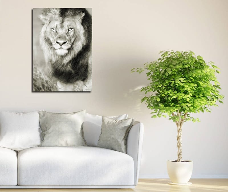 Dekorativ Canvasbilde 30x40 cm, Flerfarget