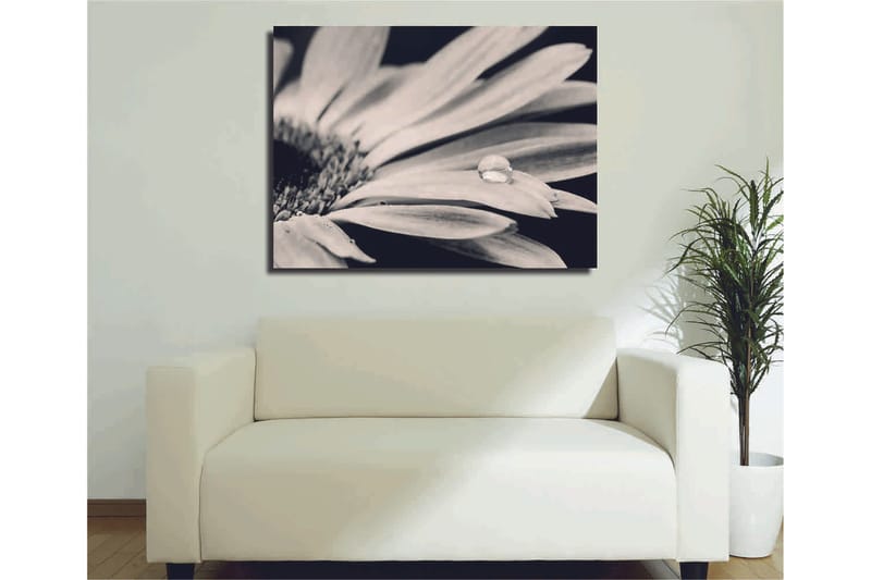 Dekorativ Canvasbilde 30x40 cm, Flerfarget