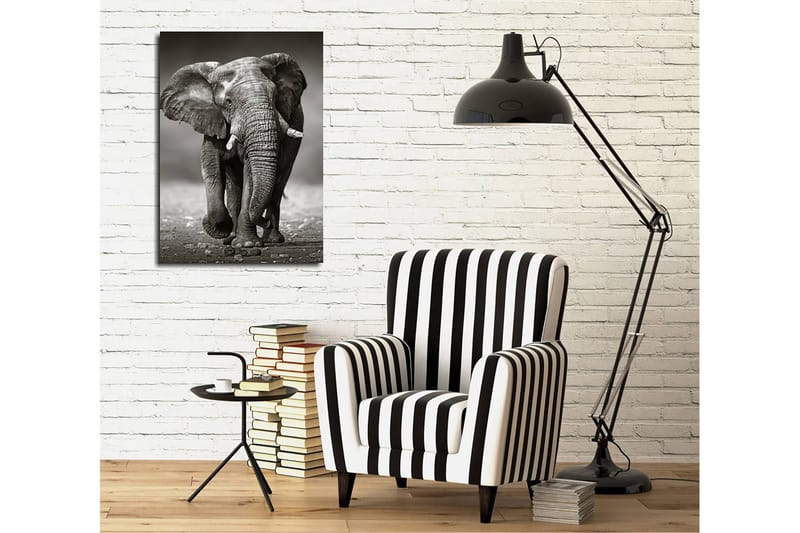 Dekorativ Canvasbilde 30x40 cm - Flerfarget - Innredning - Bilder & kunst - Lerretsbilder