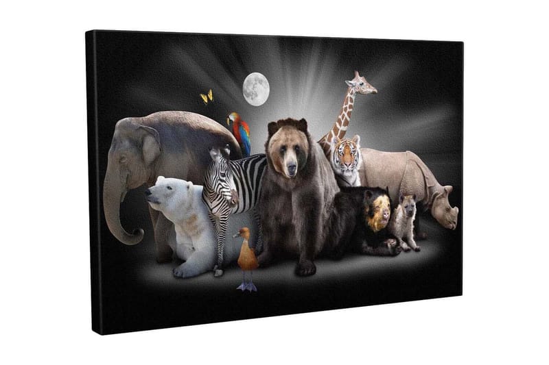 Dekorativ Canvasbilde 30x40 cm - Flerfarget - Innredning - Bilder & kunst - Lerretsbilder