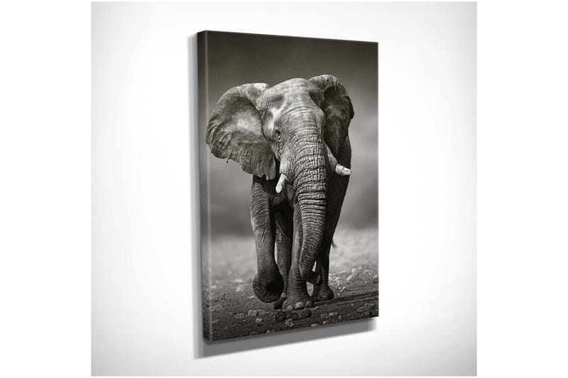 Dekorativ Canvasbilde 30x40 cm - Flerfarget - Innredning - Bilder & kunst - Lerretsbilder