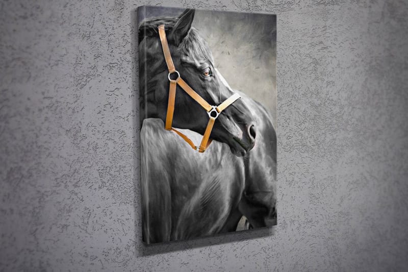 Dekorativ Canvasbilde 30x40 cm - Flerfarget - Innredning - Bilder & kunst - Lerretsbilder