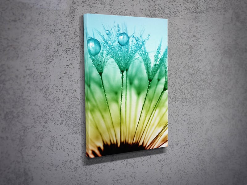 Dekorativ Canvasbilde 30x40 cm - Flerfarget - Innredning - Bilder & kunst - Lerretsbilder