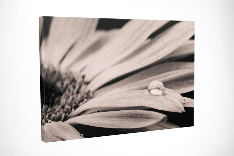 Dekorativ Canvasbilde 30x40 cm - Flerfarget - Innredning - Bilder & kunst - Lerretsbilder