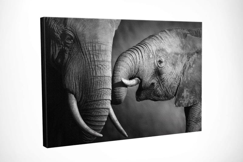 Dekorativ Canvasbilde 30x40 cm - Flerfarget - Innredning - Bilder & kunst - Lerretsbilder