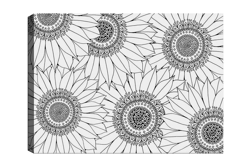 Dekorativ Canvasbilde 30x40 cm - Hvit|Svart - Innredning - Bilder & kunst - Lerretsbilder