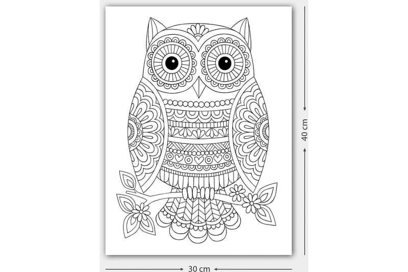 Dekorativ Canvasbilde 30x40 cm - Hvit|Svart - Innredning - Bilder & kunst - Lerretsbilder