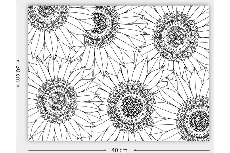 Dekorativ Canvasbilde 30x40 cm - Hvit|Svart - Innredning - Bilder & kunst - Lerretsbilder