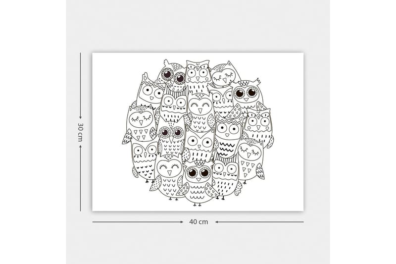 Dekorativ Canvasbilde 30x40 cm - Hvit|Svart - Innredning - Bilder & kunst - Lerretsbilder