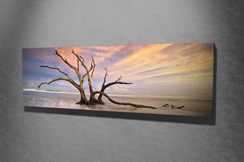 Dekorativ Canvasbilde 30x80 cm - Flerfarget - Innredning - Bilder & kunst - Lerretsbilder