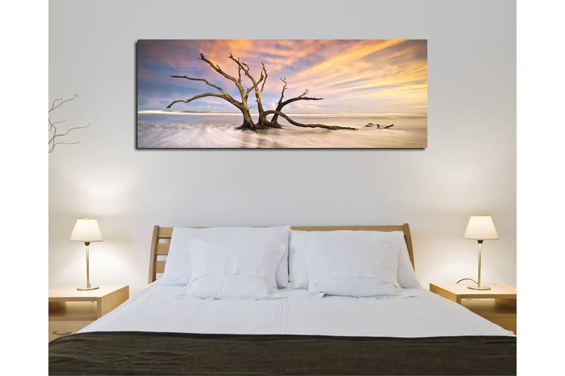 Dekorativ Canvasbilde 30x80 cm - Flerfarget - Innredning - Bilder & kunst - Lerretsbilder